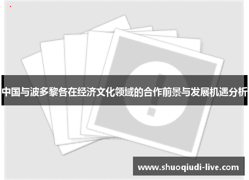 中国与波多黎各在经济文化领域的合作前景与发展机遇分析