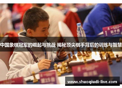 中国象棋冠军的崛起与挑战 揭秘顶尖棋手背后的训练与智慧